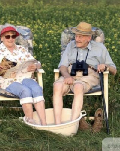 quiropráctica para la tercera edad en vic5